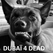 Portrait de Dubaï4dead