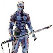 Portrait de Gray Fox